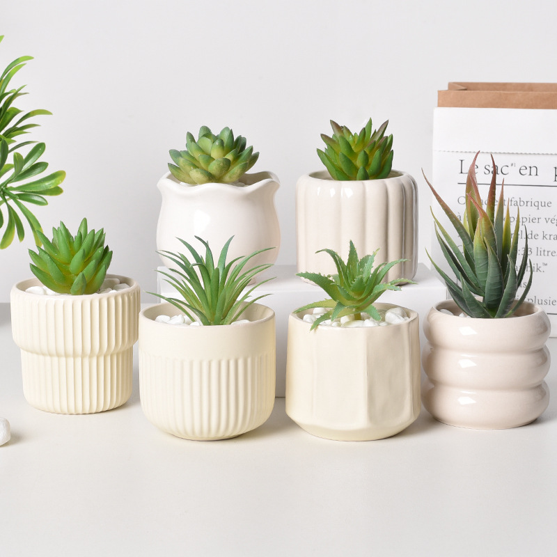 Echeveria Succulent - Maceta suculenta de cerámica con autorriego,