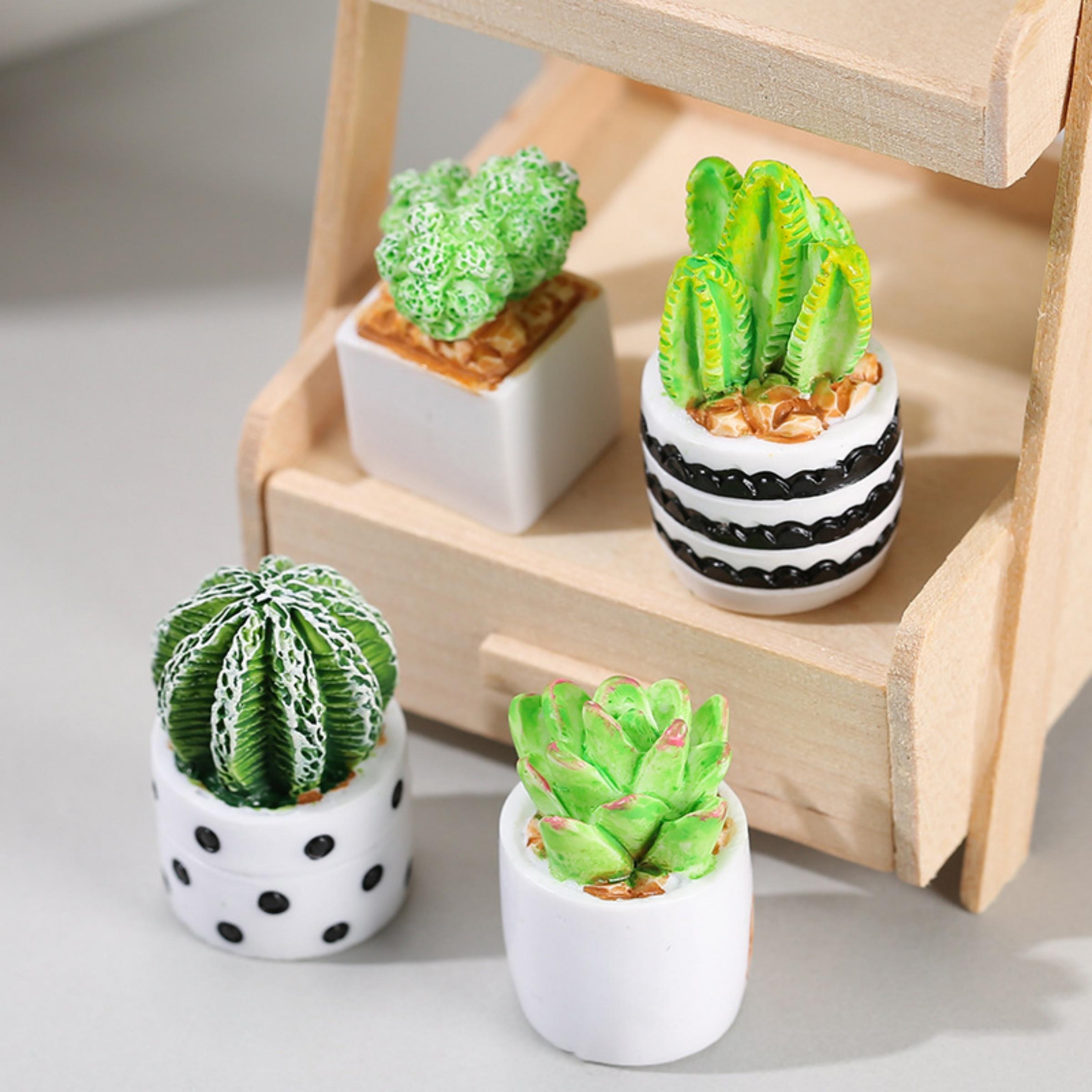 Echeveria Succulent - Juego de 4 Macetas con Plantas