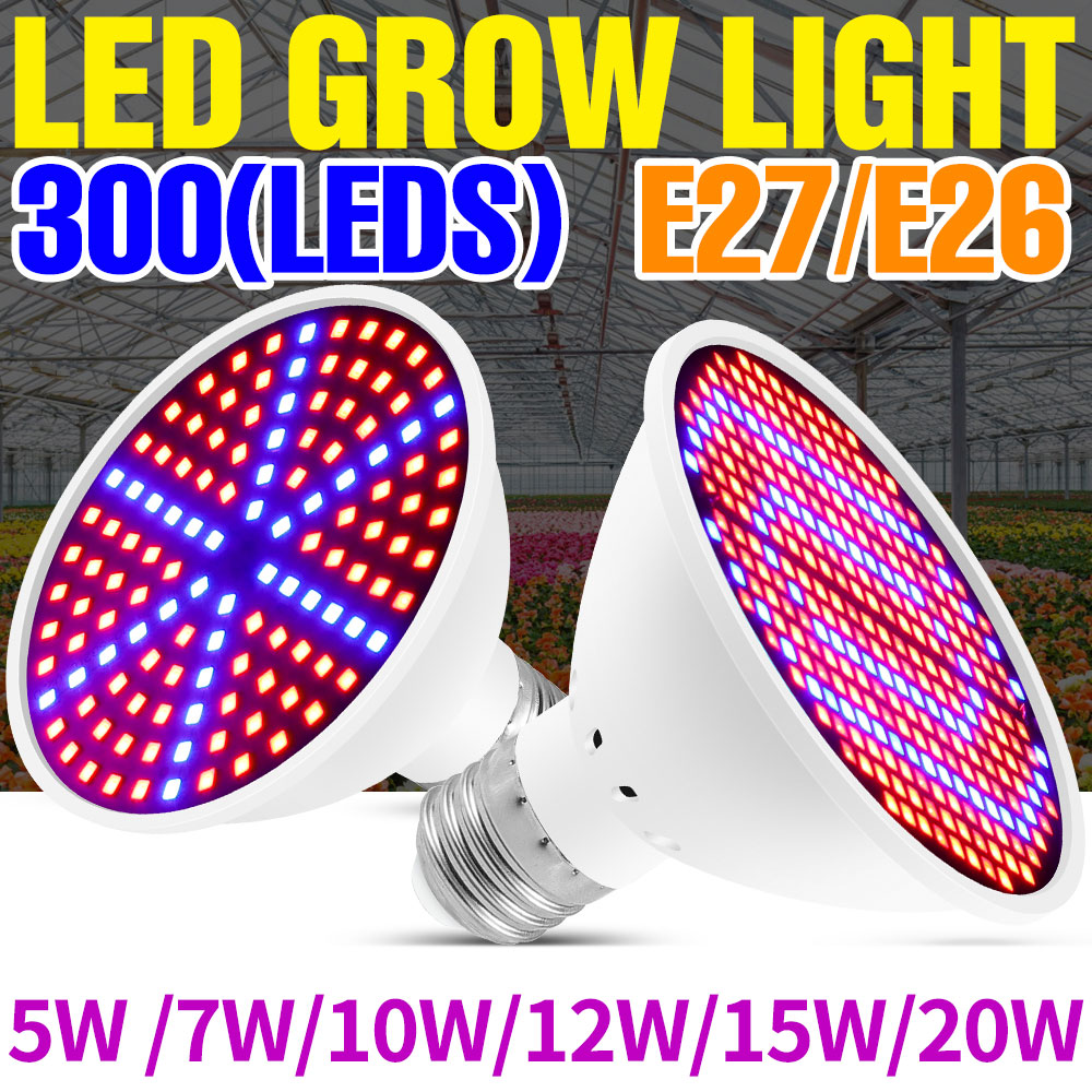 Lámpara LED de espectro comple - Echeveria Succulent reseña y precio