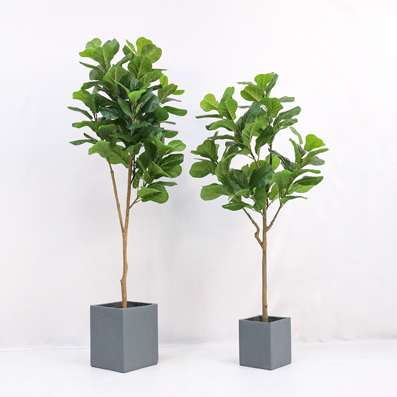 Planta artificial en maceta de - Ficus Lyrata Tree reseña y precio