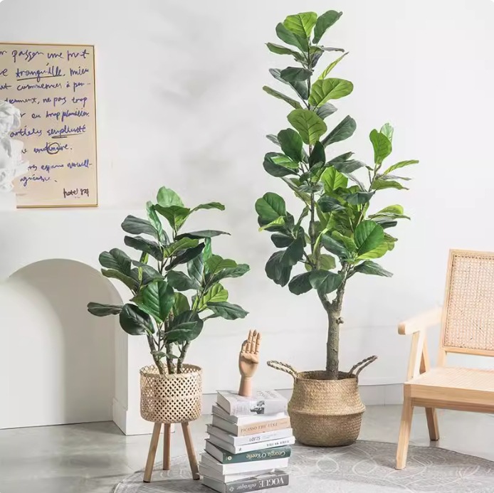 Planta artificial en maceta de - Ficus Lyrata Tree reseña y precio