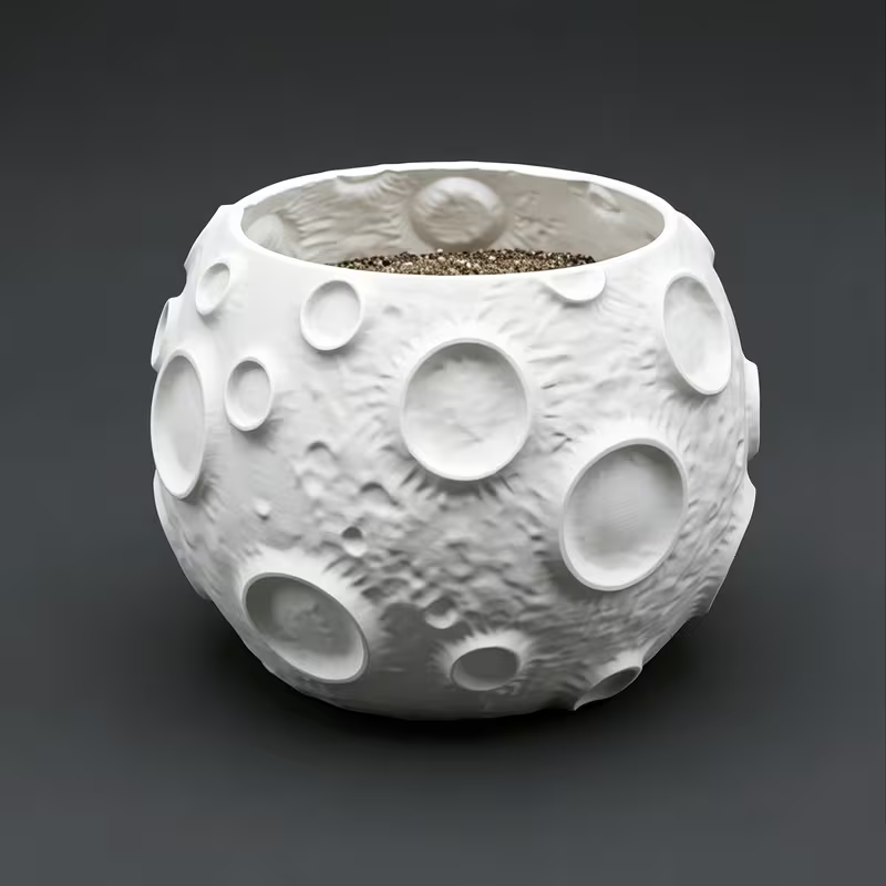 Maceta con Diseño de Superfici - Echeveria Succulent reseña y precio