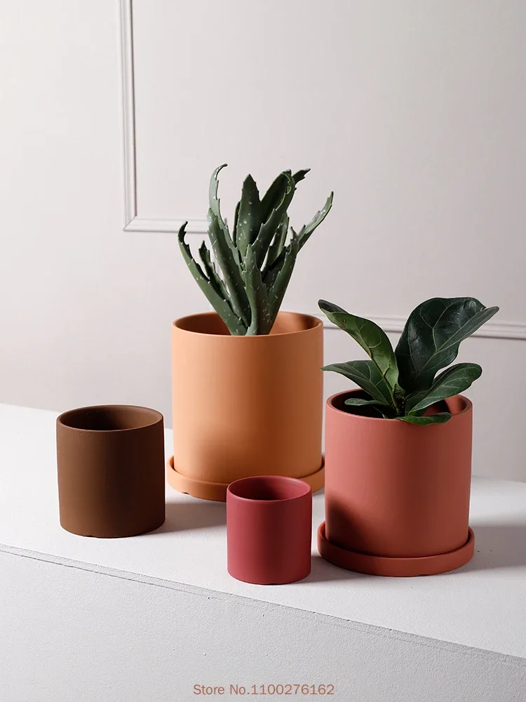Maceta de cerámica de Color pu - Echeveria Succulent reseña y precio
