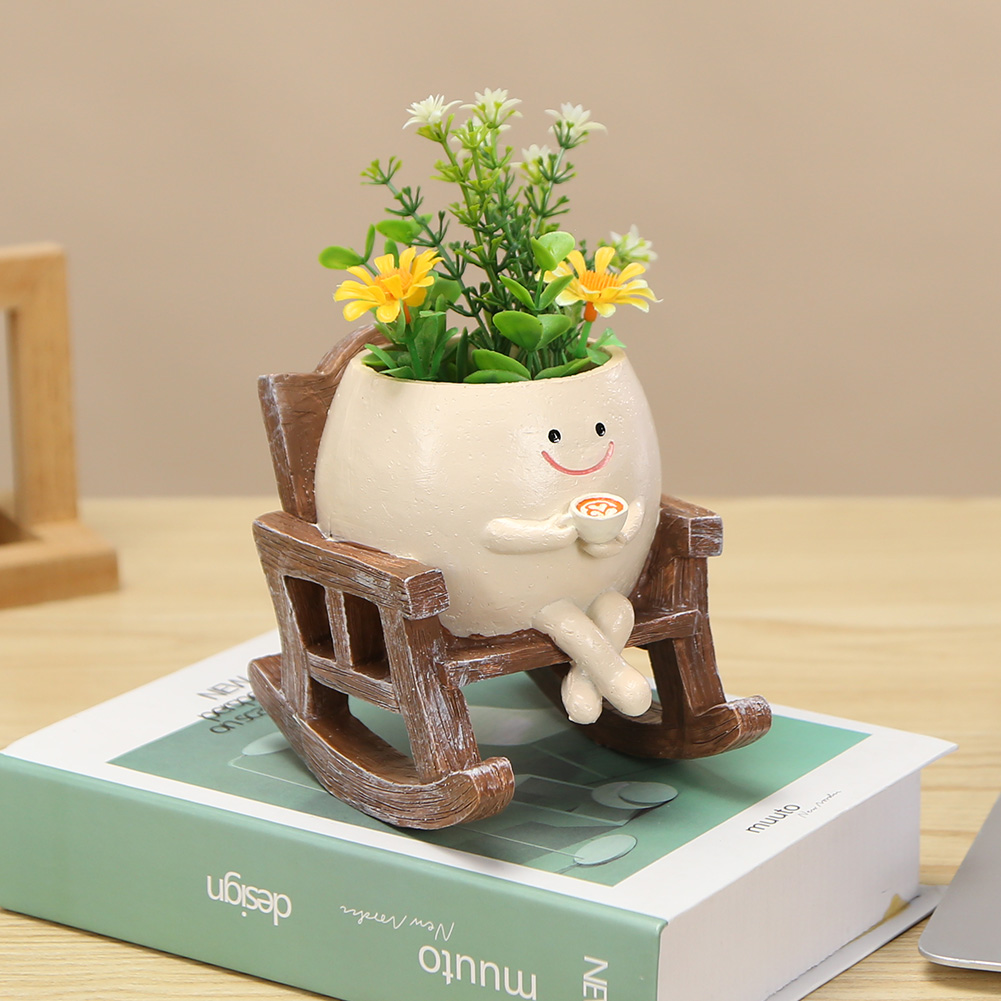 Maceta Creativa con Forma de S - Echeveria Succulent reseña y precio