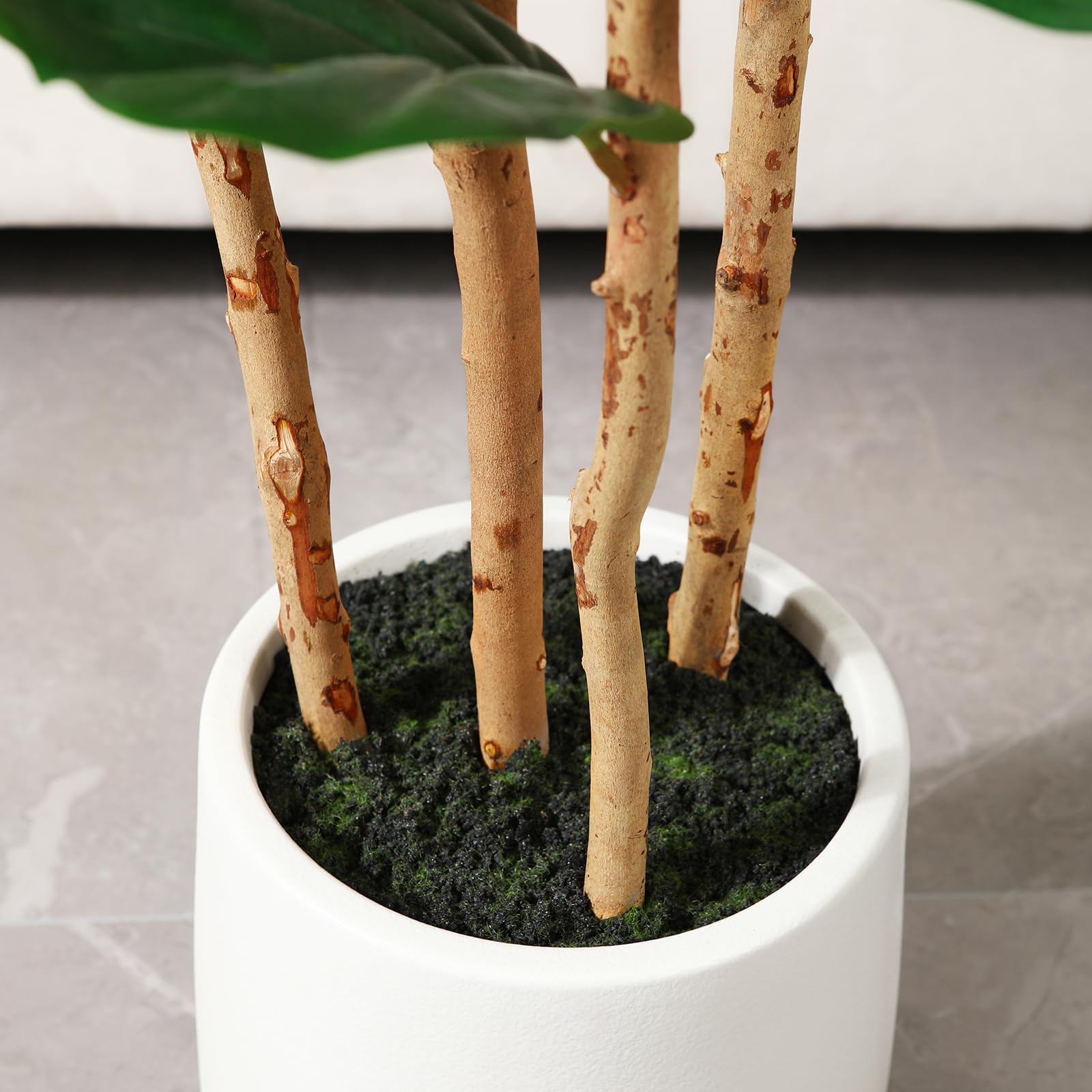 Árbol artificial de fico de ho - Ficus Lyrata Tree reseña y precio
